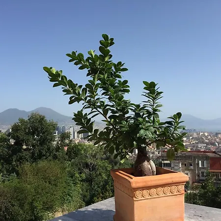 La Veduta 2* Naples