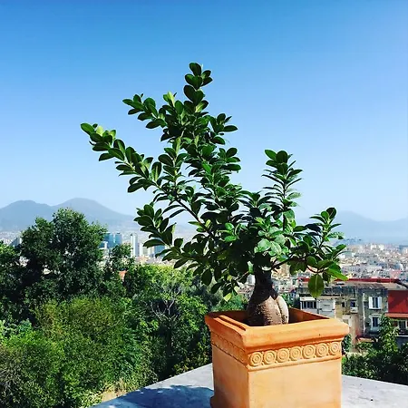 La Veduta